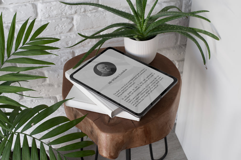 Kindle store